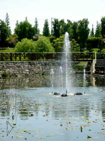 噴水、ハスの池